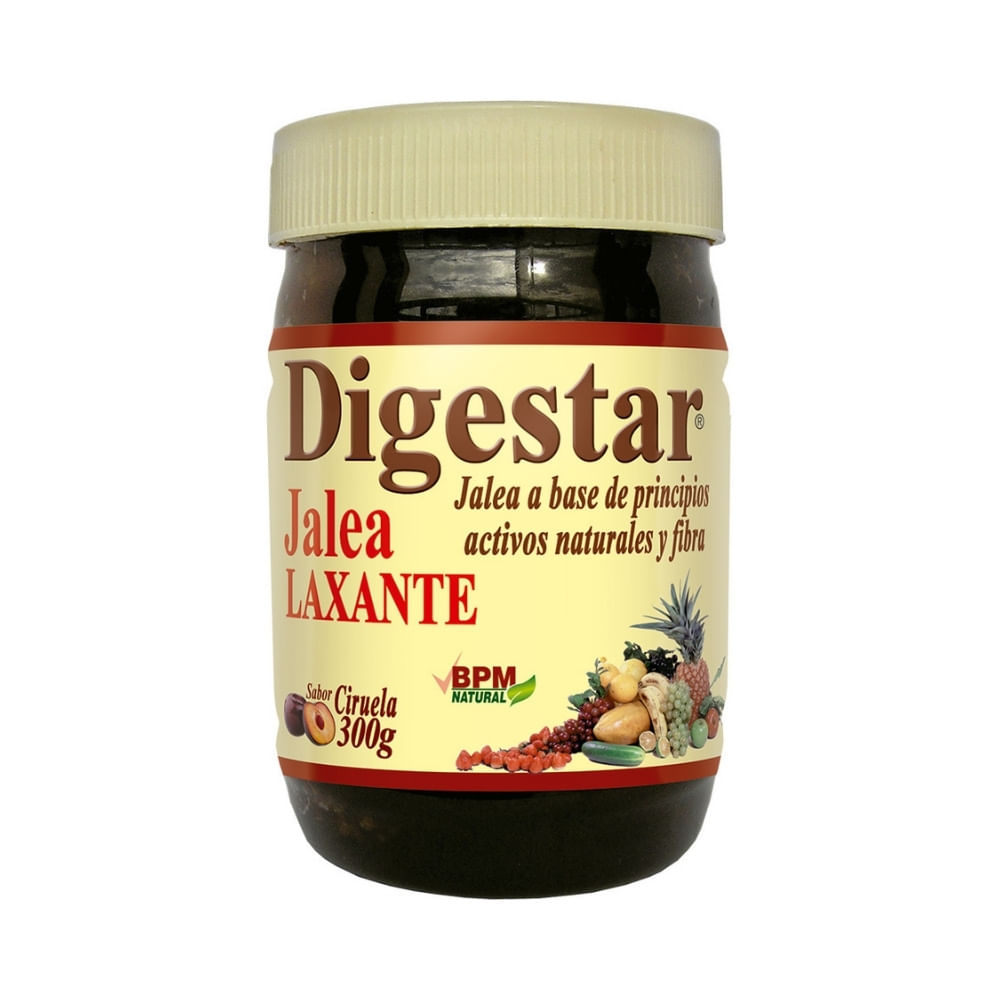 DIGESTAR JALEA FRASCO 300 G